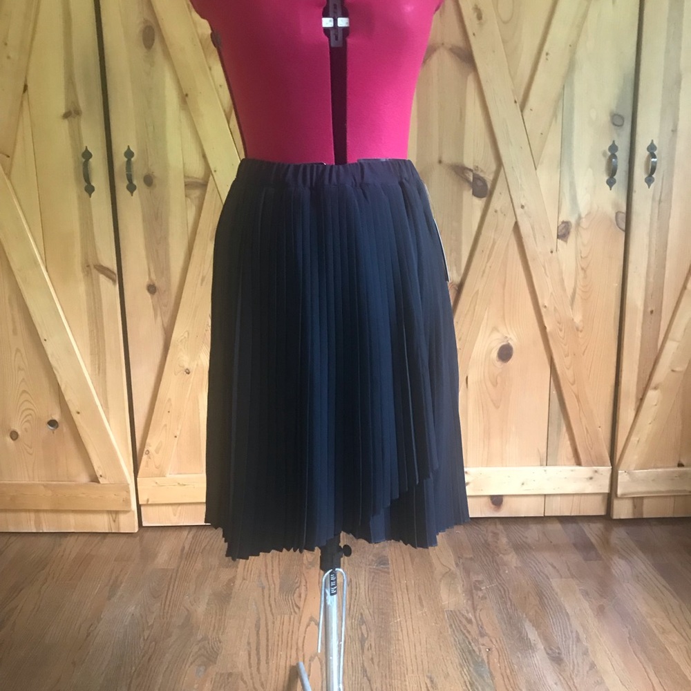 Knife pleated skirt with tags